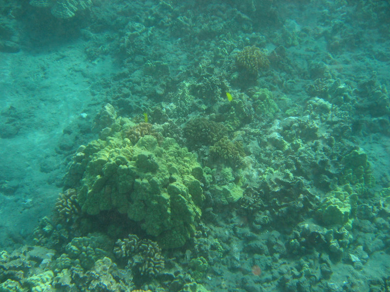 Hookena-Beach-Park-Snorkeling-Big-Island-Hawaii-026