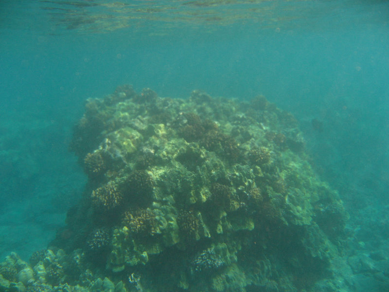 Hookena-Beach-Park-Snorkeling-Big-Island-Hawaii-043