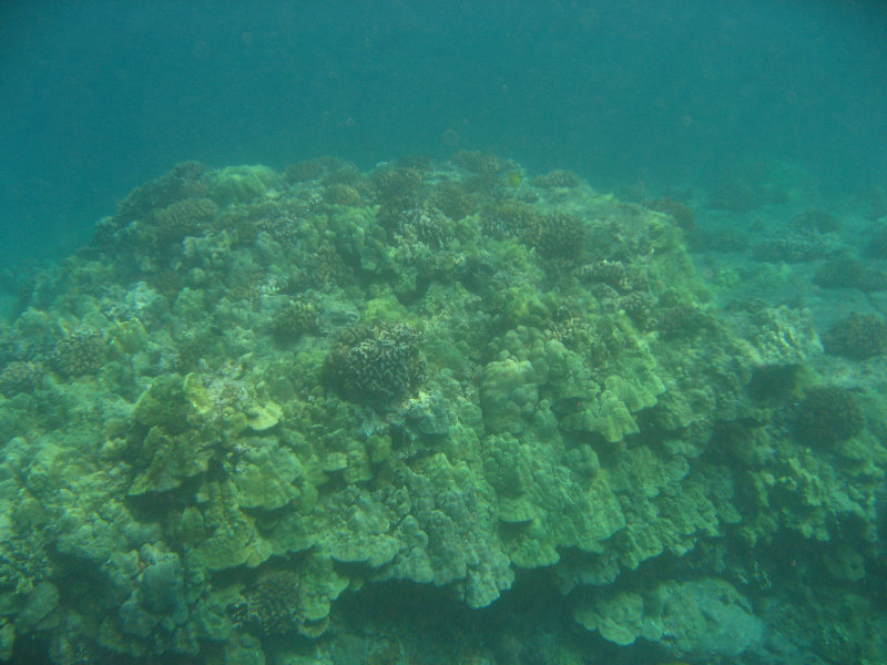 Hookena-Beach-Park-Snorkeling-Big-Island-Hawaii-072