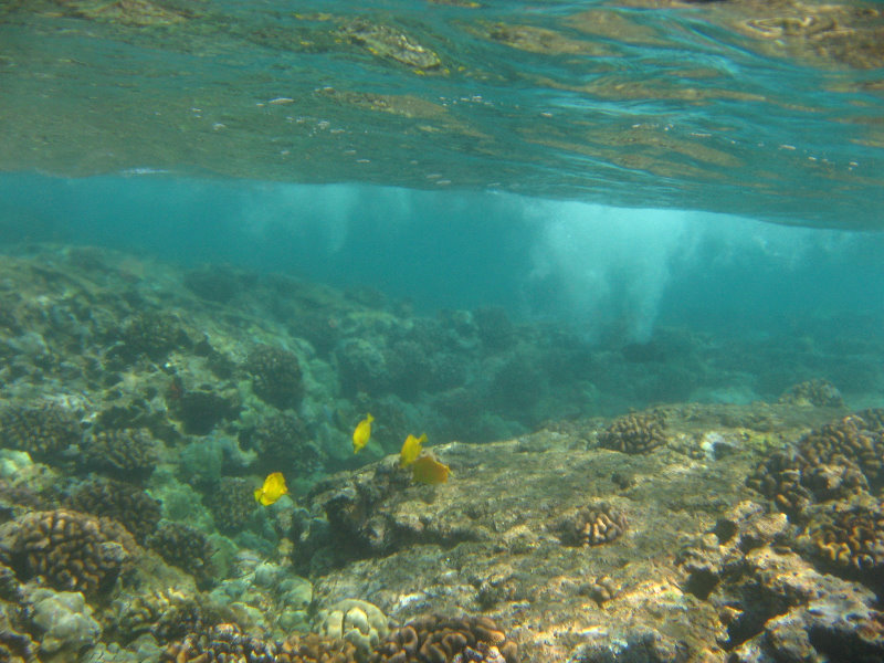 Hookena-Beach-Park-Snorkeling-Big-Island-Hawaii-079