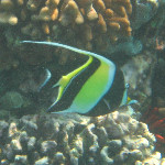 Ho'okena Beach Park - Big Island, Hawaii