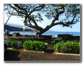 Hookena-Beach-Park-Snorkeling-Big-Island-Hawaii-002