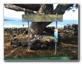 Hookena-Beach-Park-Snorkeling-Big-Island-Hawaii-004