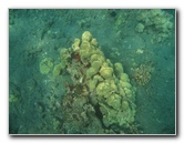 Hookena-Beach-Park-Snorkeling-Big-Island-Hawaii-016