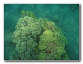 Hookena-Beach-Park-Snorkeling-Big-Island-Hawaii-019