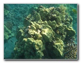 Hookena-Beach-Park-Snorkeling-Big-Island-Hawaii-038