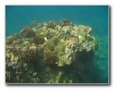 Hookena-Beach-Park-Snorkeling-Big-Island-Hawaii-048