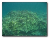 Hookena-Beach-Park-Snorkeling-Big-Island-Hawaii-072