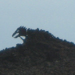 Hwy 19 Pictures - Kona Coast, Big Island