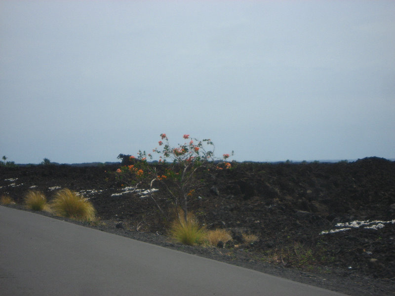 Hwy-19-Kona-Coast-Big-Island-Hawaii-009