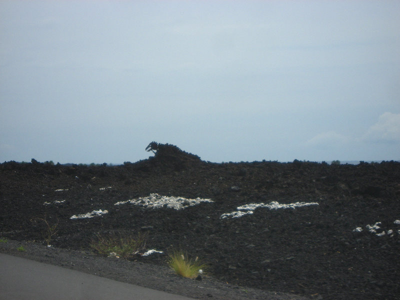 Hwy-19-Kona-Coast-Big-Island-Hawaii-010