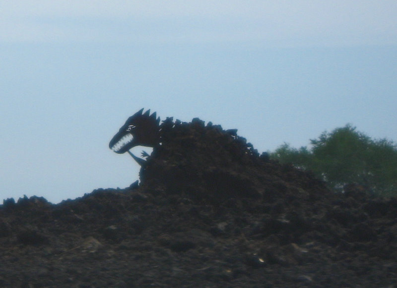 Hwy-19-Kona-Coast-Big-Island-Hawaii-011