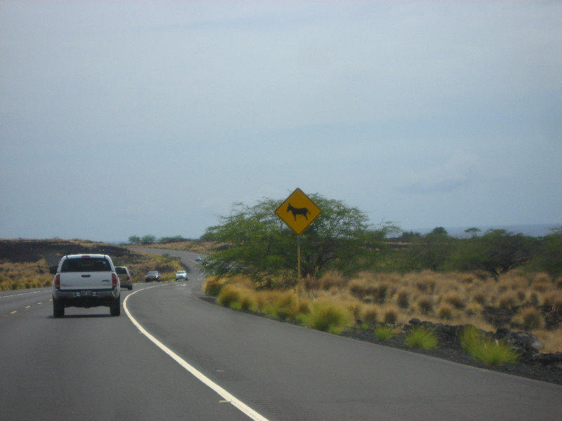 Hwy-19-Kona-Coast-Big-Island-Hawaii-023