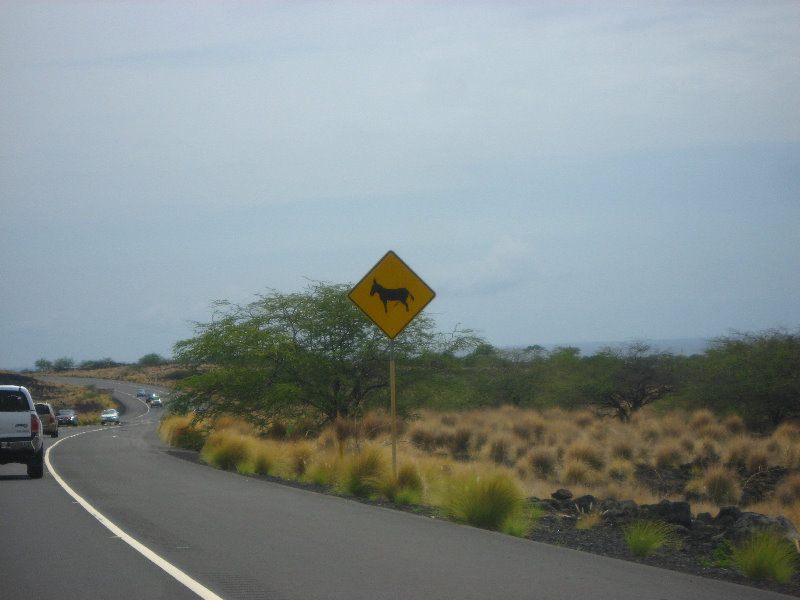 Hwy-19-Kona-Coast-Big-Island-Hawaii-024