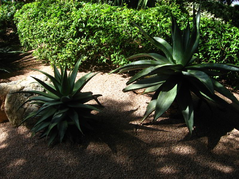 Hyatt-Regency-Scottsdale-Resort-and-Spa-009