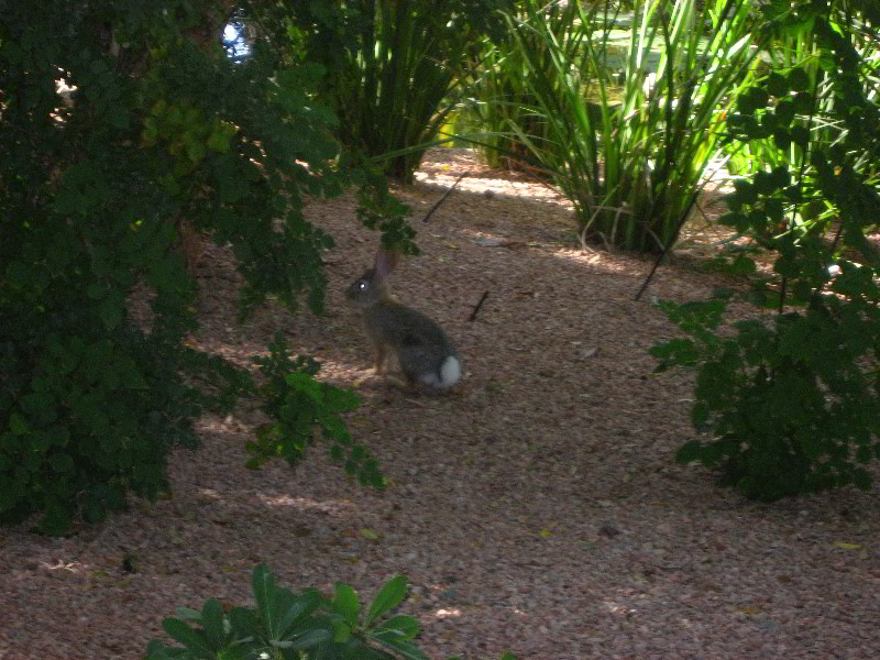 Hyatt-Regency-Scottsdale-Resort-and-Spa-011