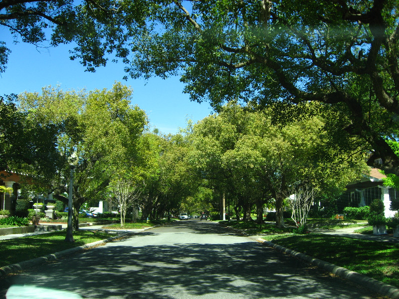 Hyde-Park-Soho-Ballast-Point-Tampa-FL-009