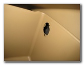 Hyundai-Elantra-HVAC-Cabin-Air-Filter-Replacement-Guide-029