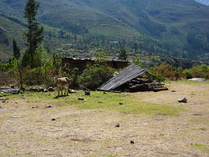 Inca-Hiking-Trail-To-Machu-Picchu-Peru-016