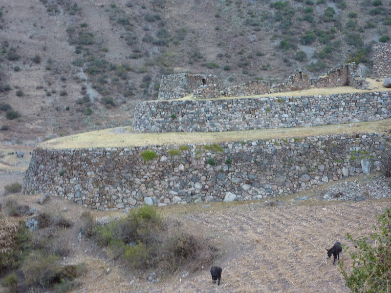 Inca-Hiking-Trail-To-Machu-Picchu-Peru-066