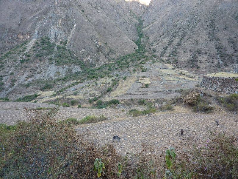 Inca-Hiking-Trail-To-Machu-Picchu-Peru-067