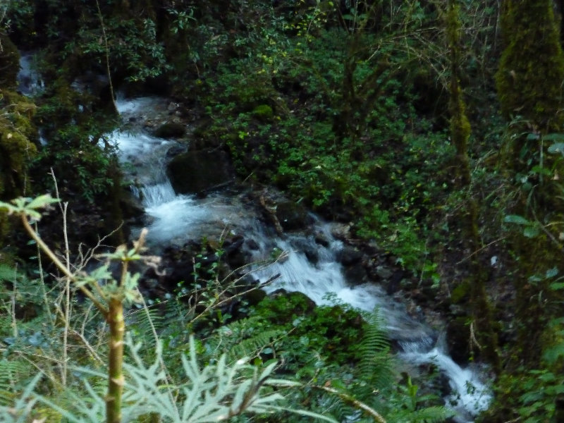 Inca-Hiking-Trail-To-Machu-Picchu-Peru-084
