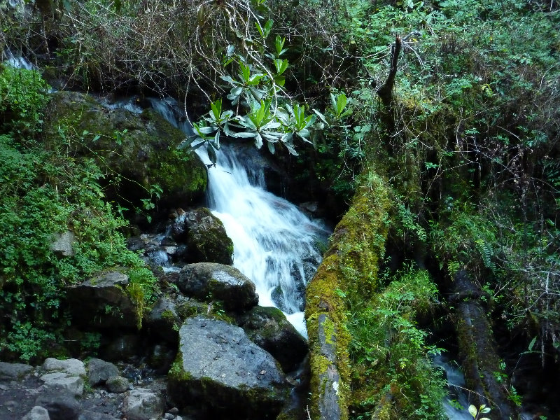 Inca-Hiking-Trail-To-Machu-Picchu-Peru-088