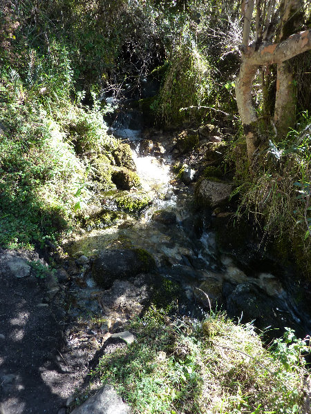 Inca-Hiking-Trail-To-Machu-Picchu-Peru-095