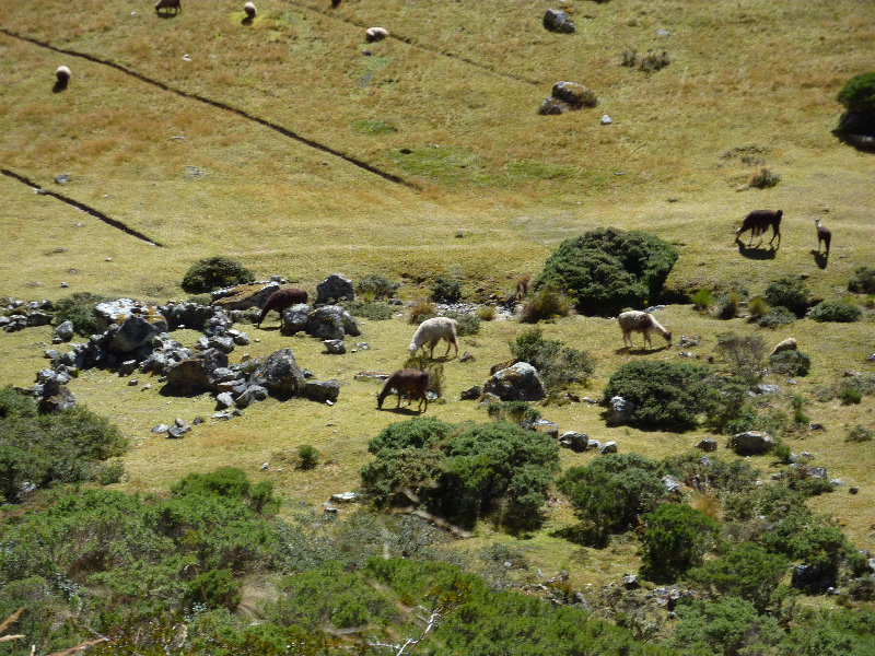 Inca-Hiking-Trail-To-Machu-Picchu-Peru-112
