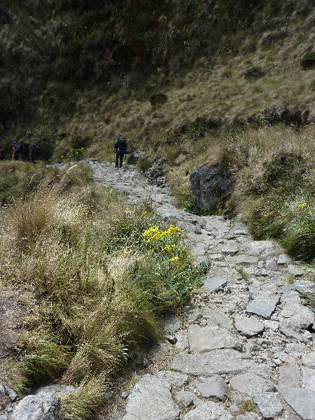 Inca-Hiking-Trail-To-Machu-Picchu-Peru-141