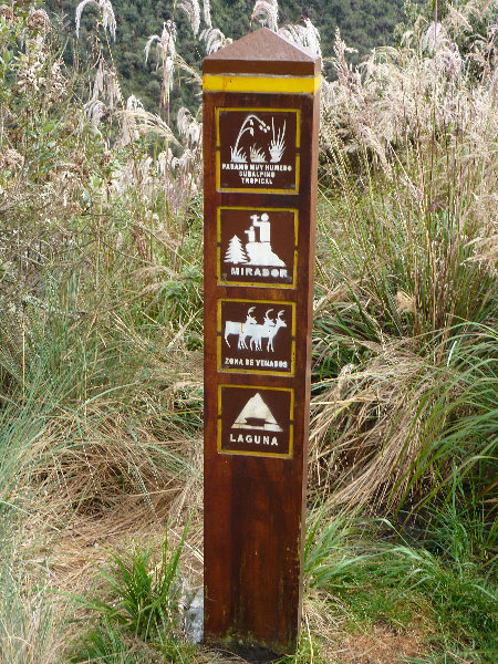 Inca-Hiking-Trail-To-Machu-Picchu-Peru-180