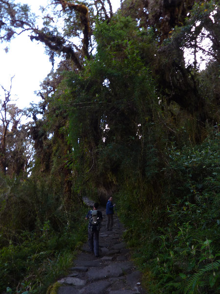 Inca-Hiking-Trail-To-Machu-Picchu-Peru-244