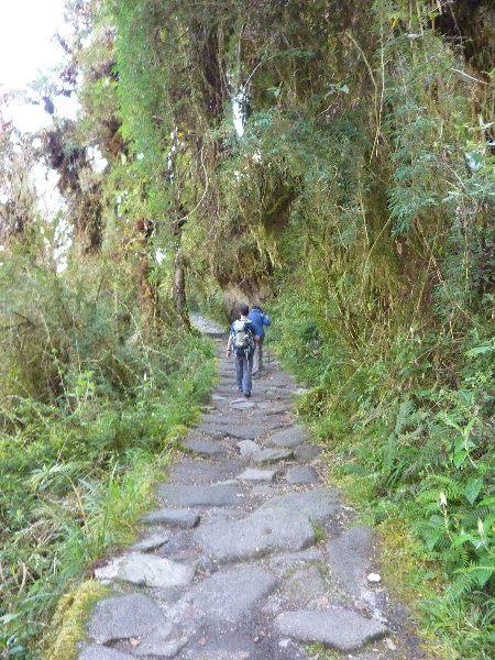 Inca-Hiking-Trail-To-Machu-Picchu-Peru-245