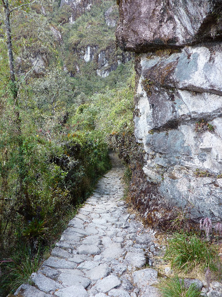 Inca-Hiking-Trail-To-Machu-Picchu-Peru-263