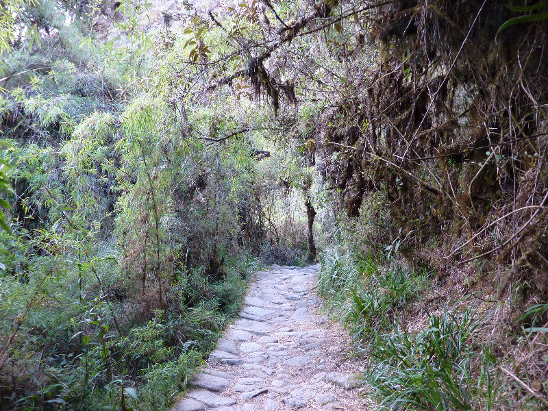 Inca-Hiking-Trail-To-Machu-Picchu-Peru-264