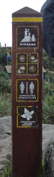 Inca-Hiking-Trail-To-Machu-Picchu-Peru-288