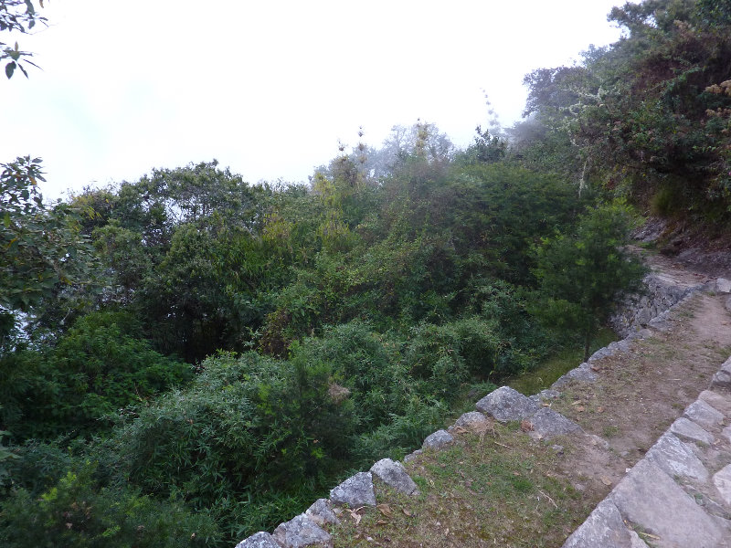 Inca-Hiking-Trail-To-Machu-Picchu-Peru-330