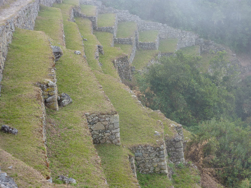 Inca-Hiking-Trail-To-Machu-Picchu-Peru-361