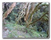 Inca-Hiking-Trail-To-Machu-Picchu-Peru-081