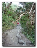 Inca-Hiking-Trail-To-Machu-Picchu-Peru-083