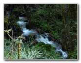 Inca-Hiking-Trail-To-Machu-Picchu-Peru-084