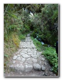Inca-Hiking-Trail-To-Machu-Picchu-Peru-086