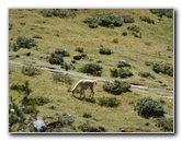 Inca-Hiking-Trail-To-Machu-Picchu-Peru-107