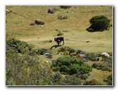 Inca-Hiking-Trail-To-Machu-Picchu-Peru-109