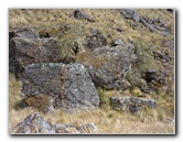 Inca-Hiking-Trail-To-Machu-Picchu-Peru-139