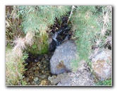 Inca-Hiking-Trail-To-Machu-Picchu-Peru-232