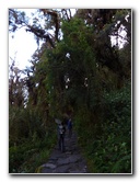 Inca-Hiking-Trail-To-Machu-Picchu-Peru-244
