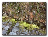 Inca-Hiking-Trail-To-Machu-Picchu-Peru-249