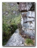 Inca-Hiking-Trail-To-Machu-Picchu-Peru-262