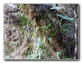 Inca-Hiking-Trail-To-Machu-Picchu-Peru-265